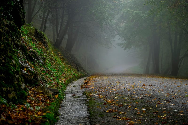 Mysterious Walkways