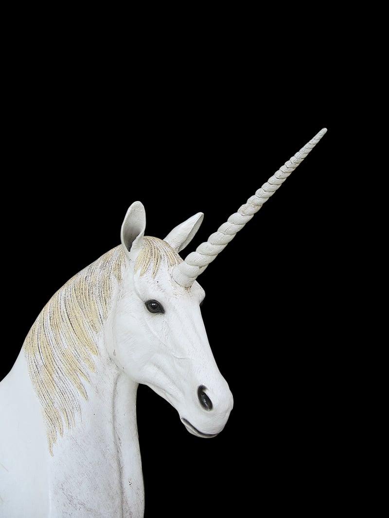 Unicorn Haven